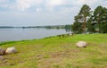 Pine trees on the lake bank opposite Ferapontovo monastery, Russia. Summer day, clouds in blue sky Royalty Free Stock Photo