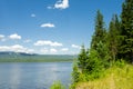 The pine trees and the lake Zyuratkul