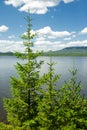 The pine trees and the lake Zyuratkul