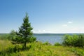 The pine trees and the lake Zyuratkul