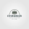 Pine trees logo evergreen Vintage Spruce, Cedar trees vector illustration design