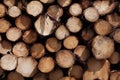 Pine trees logs background