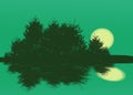 Pine trees and moonlit lake