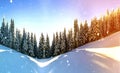 Pine trees in mountains and falling snow in fairy tale winter sunny morning. Soft ligth effect. Royalty Free Stock Photo