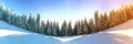 Pine trees in mountains and falling snow in fairy tale winter sunny morning. Soft ligth effect. Royalty Free Stock Photo