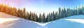 Pine trees in mountains and falling snow in fairy tale winter sunny morning. Soft ligth effect. Royalty Free Stock Photo