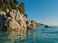 Pine trees over sea rocks over crystal clear turquoise water, Kastani Mamma Mia beach, island of Skopelos