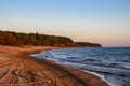 pine trees in the rays of sunset. The Gulf of Finland Royalty Free Stock Photo