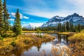 Pine trees reflected in the lake Royalty Free Stock Photo