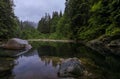 Pine trees reflecting in the crystal clear water of a lake on a cloudy day in Lynn Canyon Park forest, Vancouver, Canada Royalty Free Stock Photo