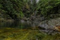 Pine trees reflecting in the crystal clear water of a lake on a cloudy day in Lynn Canyon Park forest, Vancouver, Canada Royalty Free Stock Photo