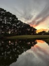 Pine trees reflecting onto water with sunset sky background Royalty Free Stock Photo