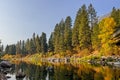 Pine trees reflecting in a peaceful lake Royalty Free Stock Photo