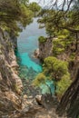 Pine trees on a rock over crystal clear turquoise water near cape amarandos at skopelos island Royalty Free Stock Photo