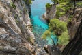 Pine trees on a rock over crystal clear turquoise water near cape amarandos at skopelos island Royalty Free Stock Photo