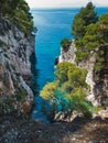 Pine trees on a rock over crystal clear turquoise water near Cape Amarandos at Skopelos island Royalty Free Stock Photo