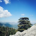 Pine trees and rocks on the blue sky. Retro photo. View on the valley. Royalty Free Stock Photo