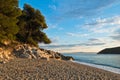 Pine trees, rocks and sand at sunset, Kastani Mamma Mia beach, island of Skopelos
