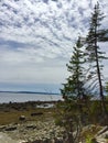 Pine trees, rocks and seaweed on shore line of ocean in central maine with unique cloud cover and blue sky Royalty Free Stock Photo