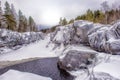 Pine trees and rocks in winter Royalty Free Stock Photo