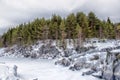 Pine trees and rocks in winter Royalty Free Stock Photo