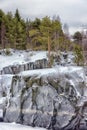 Pine trees and rocks in winter Royalty Free Stock Photo