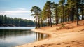 Picturesque Small Lake With Pine Trees In Southern Countryside