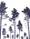 Pine trees silhouette isolated, set. Coniferous forest. Vector illustration Royalty Free Stock Photo