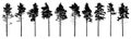 Pine trees silhouette isolated, set. Coniferous forest. Vector illustration Royalty Free Stock Photo