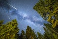 Pine trees silhouette Milky Way meteor shower Royalty Free Stock Photo