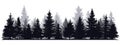 Pine trees silhouettes. Evergreen coniferous forest silhouette, nature spruce tree park view vector illustration Royalty Free Stock Photo