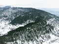 Pine trees with some snow on the hill at Odemis Golcuk province Royalty Free Stock Photo