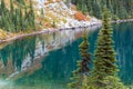 Pine Trees Stand Tall At Eunice Lake