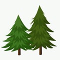 Pine Trees Vector Illustration.Coniferous Tree.