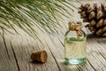 Pine turpentine essential oil in glass bottle Royalty Free Stock Photo