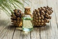 Pine turpentine essential oil in glass bottle Royalty Free Stock Photo