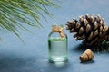 Pine turpentine essential oil in glass bottle Royalty Free Stock Photo