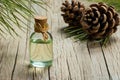 Pine turpentine essential oil in glass bottle Royalty Free Stock Photo