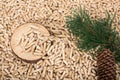 Pine twig and conch on wooden pellets