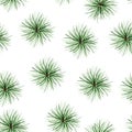 Pine twigs circle watercolor seamless pattern