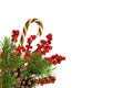Pine twigs, red berries with cones and Christmas sweet stick isolated on white