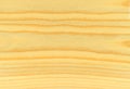 Pine wood texture Royalty Free Stock Photo