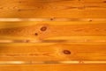 Pine wood texture background. Stained yellow fence wooden planks.