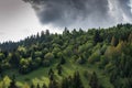 Pine woods meets deciduous woods on the top of the mountain, gathering stormclouds Royalty Free Stock Photo