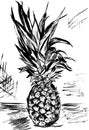 Pineaple sketc-style,black-white,illustration,coloring page wiht background