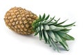 Pineapple Royalty Free Stock Photo
