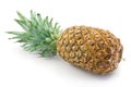 Pineapple Royalty Free Stock Photo