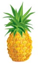 Pineapple Royalty Free Stock Photo