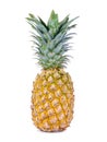 Pineapple Beautifully arranged, ready to use images separated on a white background