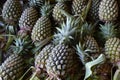 Pineapple Royalty Free Stock Photo